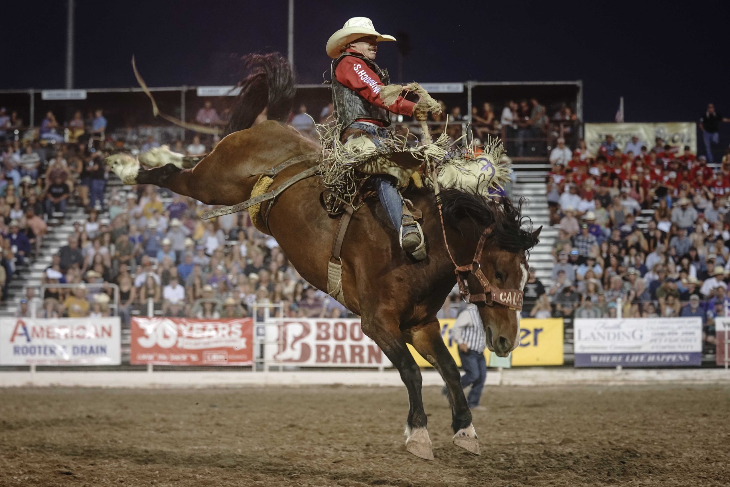 2023 PRCA and WPRA World Champions Crowned - Sports Illustrated