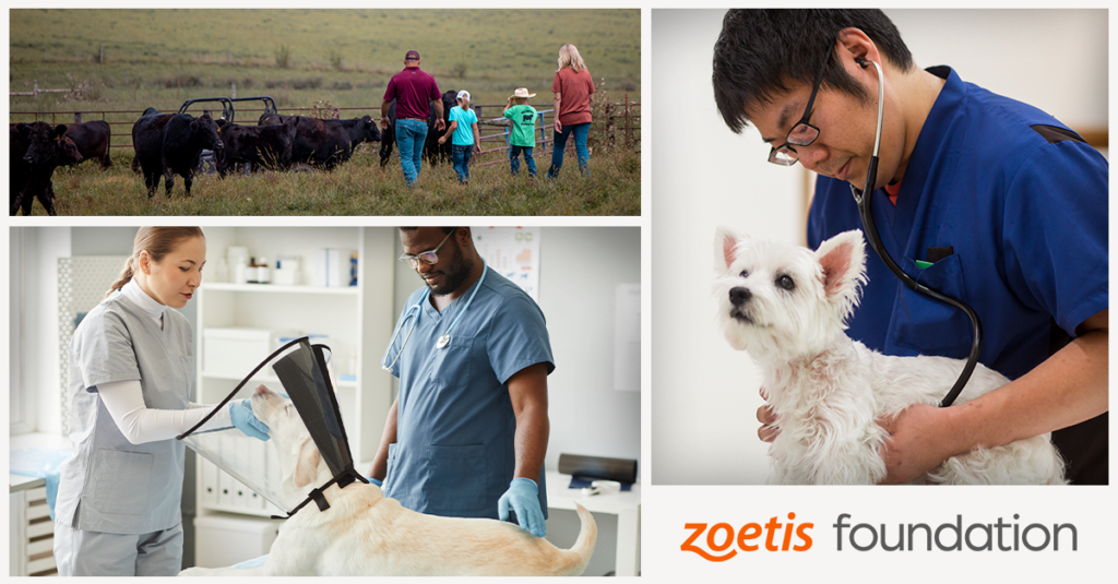 ZOETIS FOUNDATION ANNOUNCES FIRST ROUND OF 2023 GRANTS TO ADVANCE