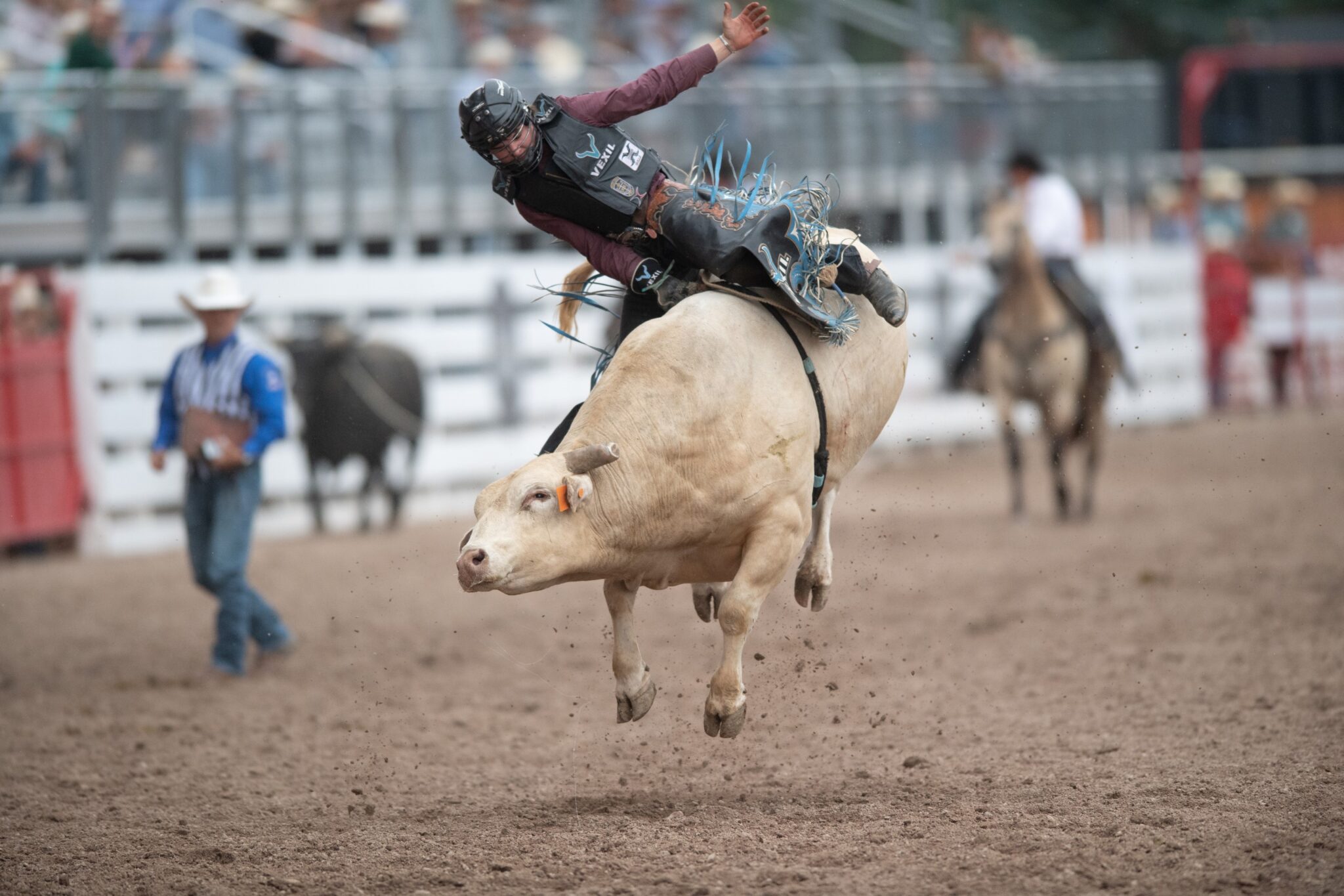 Walking Rides Rodeo TWO 90-POINT RIDES HIGHLIGHT SEMI FINAL 1 AT CHEYENNE FRONTIER DAYS ...
