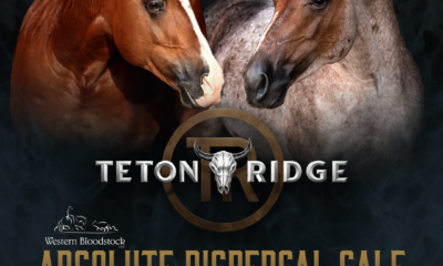 Teton Ridge Dispersal Sale