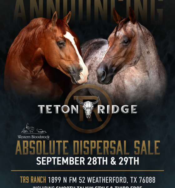Teton Ridge Dispersal Sale