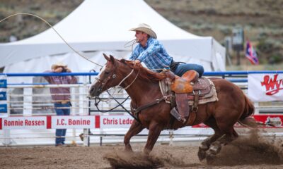 Tuf Cooper - Stampede Rodeo