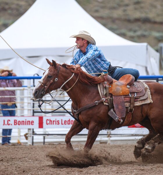 Tuf Cooper - Stampede Rodeo