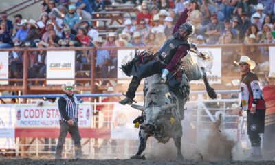 Cody Stampede - Ruger Piva