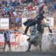 Cody Stampede - Ruger Piva