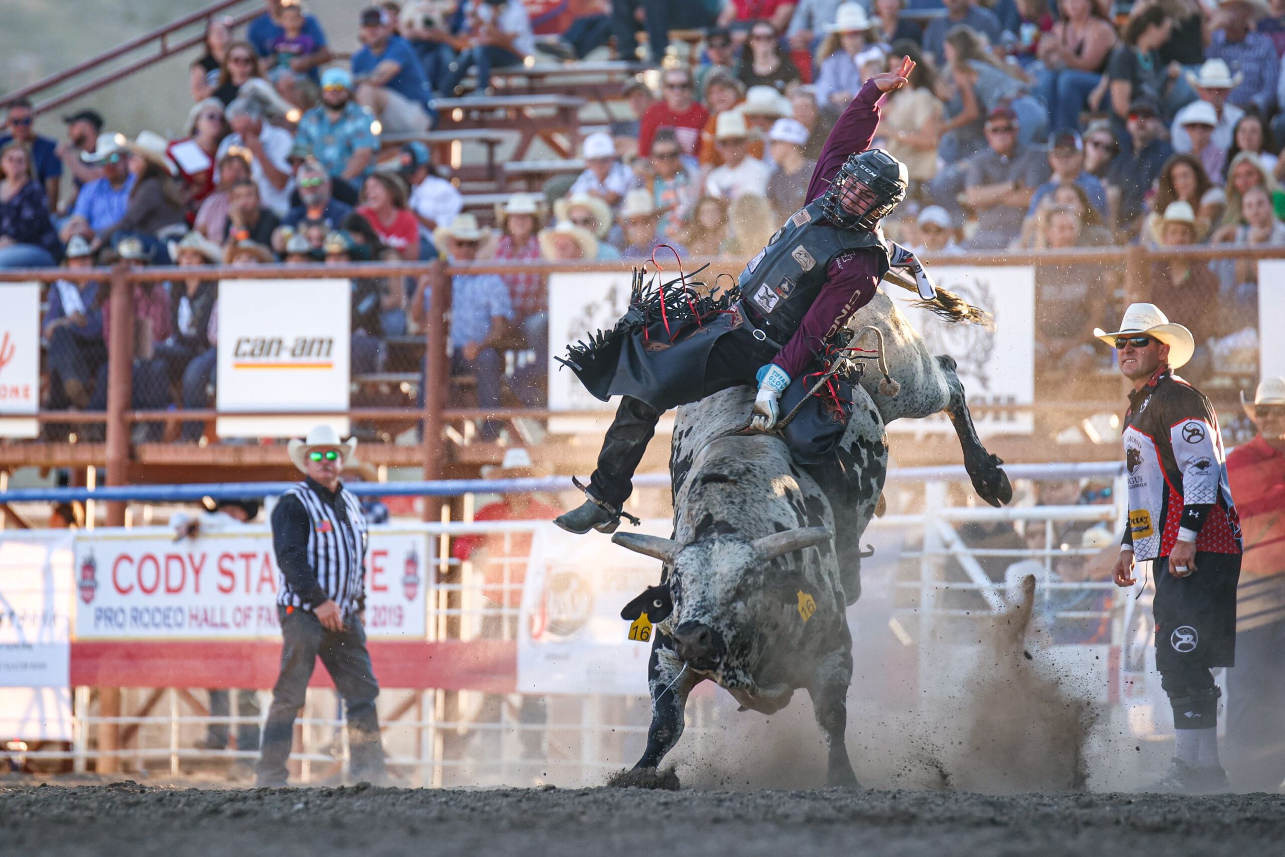 Cody Stampede - Ruger Piva