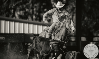 Cody Johnson Team Roping