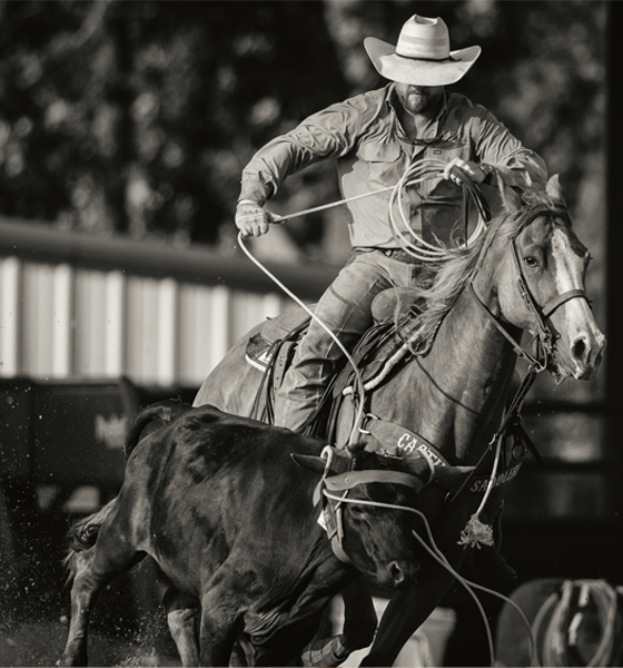 Cody Johnson Team Roping