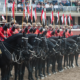Calgary Stampede - Horses