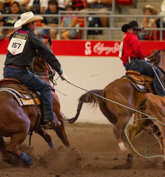 Calgary Stampede - Rocky Mountain Cup