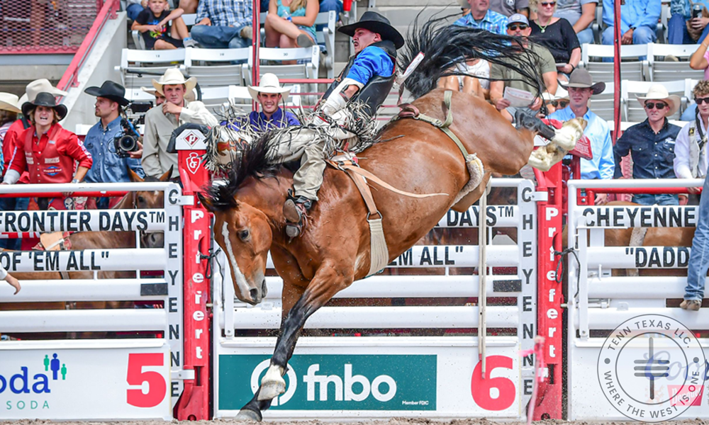 Bareback rider Jayco Roper set the standard in the bareback riding in Quarter Finals 1 at Cheyenne Frontier Days on Saturday. Roper rode Sankey Pro Rodeo & Phenom Genetics’ horse Sozo for 88 points. He will return to the “Daddy of ‘em All” for the Semi-Finals. CFD photo by Laura Storey.