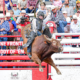 Hayes Weight Cheyenne