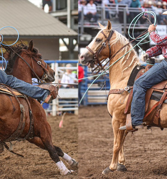 Clint Summers / Jade Corkill - Cody Stampede