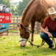 Tractor Supply