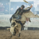 Wacey Schalla