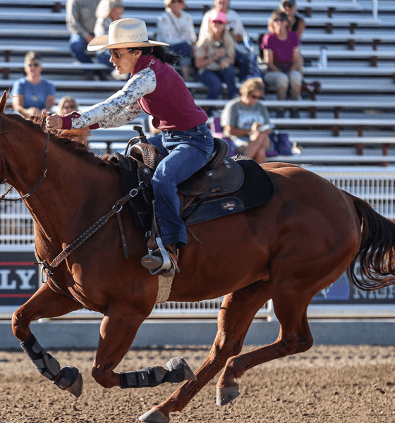 Anita Ellis - Caldwell Nights Rodeo