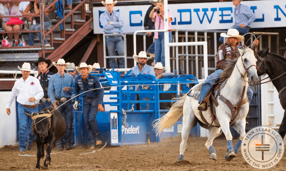 Luke Brown / Ty Stockton