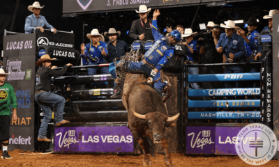 PBR Cody Jesus / Buffalo Heifer