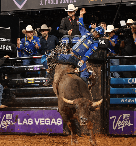 PBR Cody Jesus / Buffalo Heifer