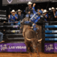 PBR Cody Jesus / Buffalo Heifer