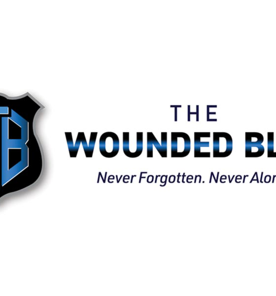 The Wounded Blue