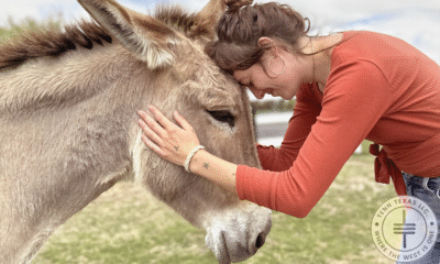 FarmHouse Fresh's Animal Sanctuary
