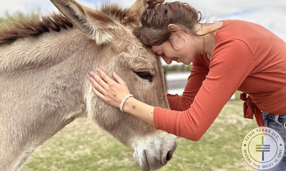 FarmHouse Fresh's Animal Sanctuary