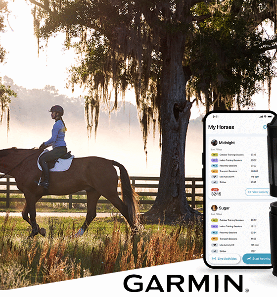 Blaze Equine Wellness System - Garmin