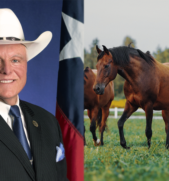 Texas Ag Commissioner Sid Miller