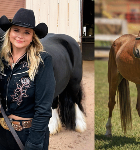 Miranda Lambert / Mutt Nation