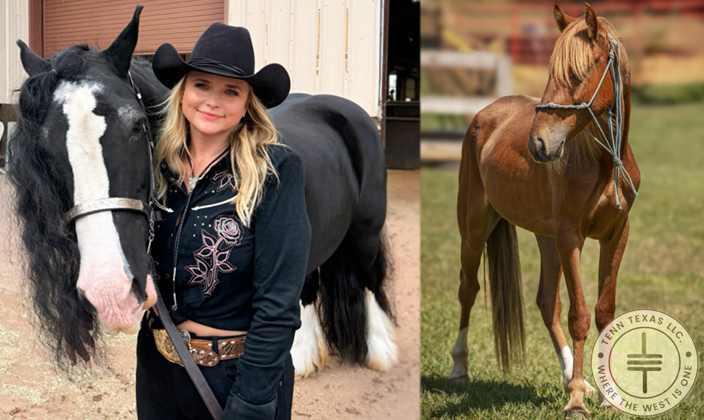 Miranda Lambert / Mutt Nation