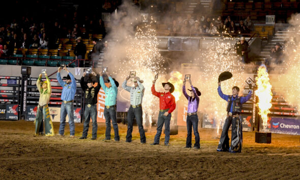 National Stock Show Champions