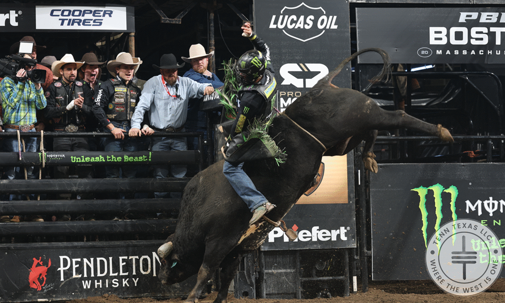 DYLAN SWEARINGEN ON HECTOR