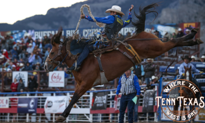 Stetson Wright